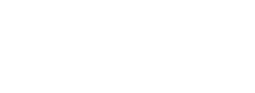 Dragon Tiger Noodle Co.